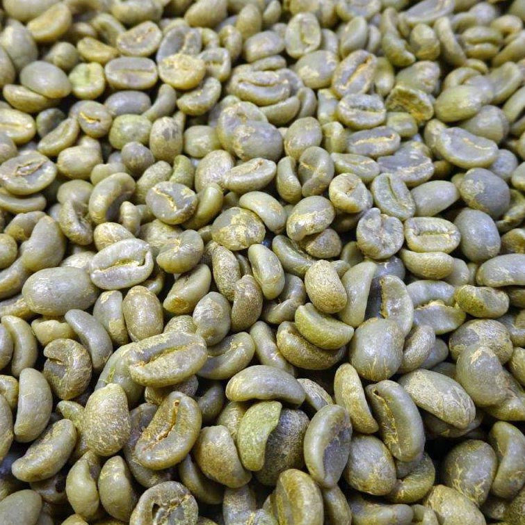 Costa Rica Green Beans-Tarrazú La Capilla SHG