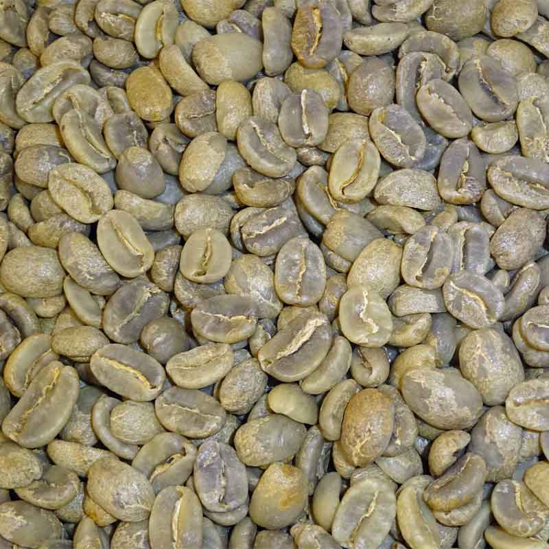 Organic Guatemalan-Huehuetenango