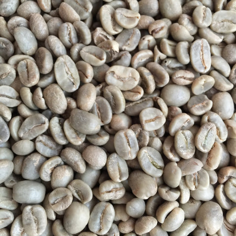 Fair Trade, Organic Honduran APROCASAM Ocotepeque Green Beans
