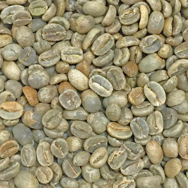 Organic Mexican Green Beans-Sierra Madre