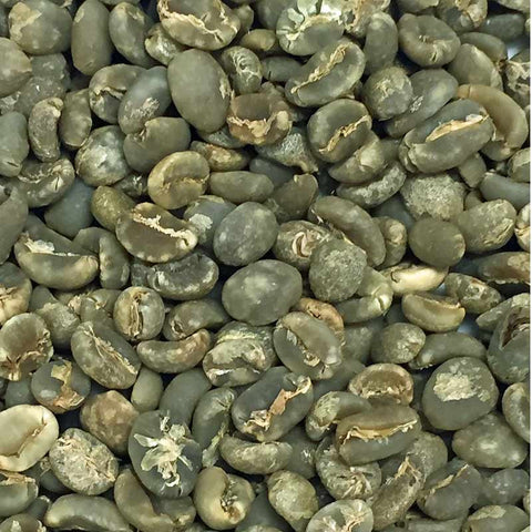 Fair Trade Organic Sumatran Green Beans-Mandheling